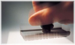 Website Design, website development, internet solutions, ecommerce