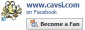 Follow CAVSI on Facebook