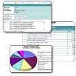Plantillas personalizadas Excel