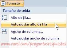 Autoajustar filas y columnas excel