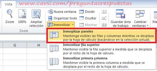 Inmovilizar paneles excel