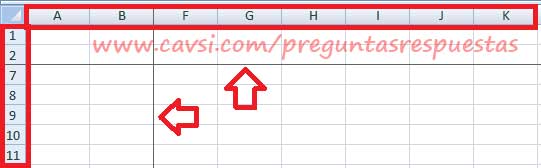 Inmovilizar paneles excel