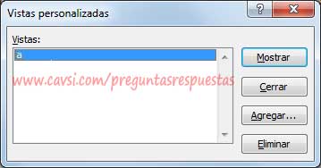 Crear Vista Personalizada Excel