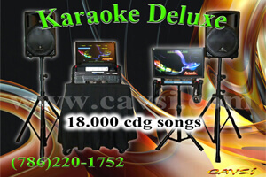 Karaoke deluxe package. Professional karaoke machine.